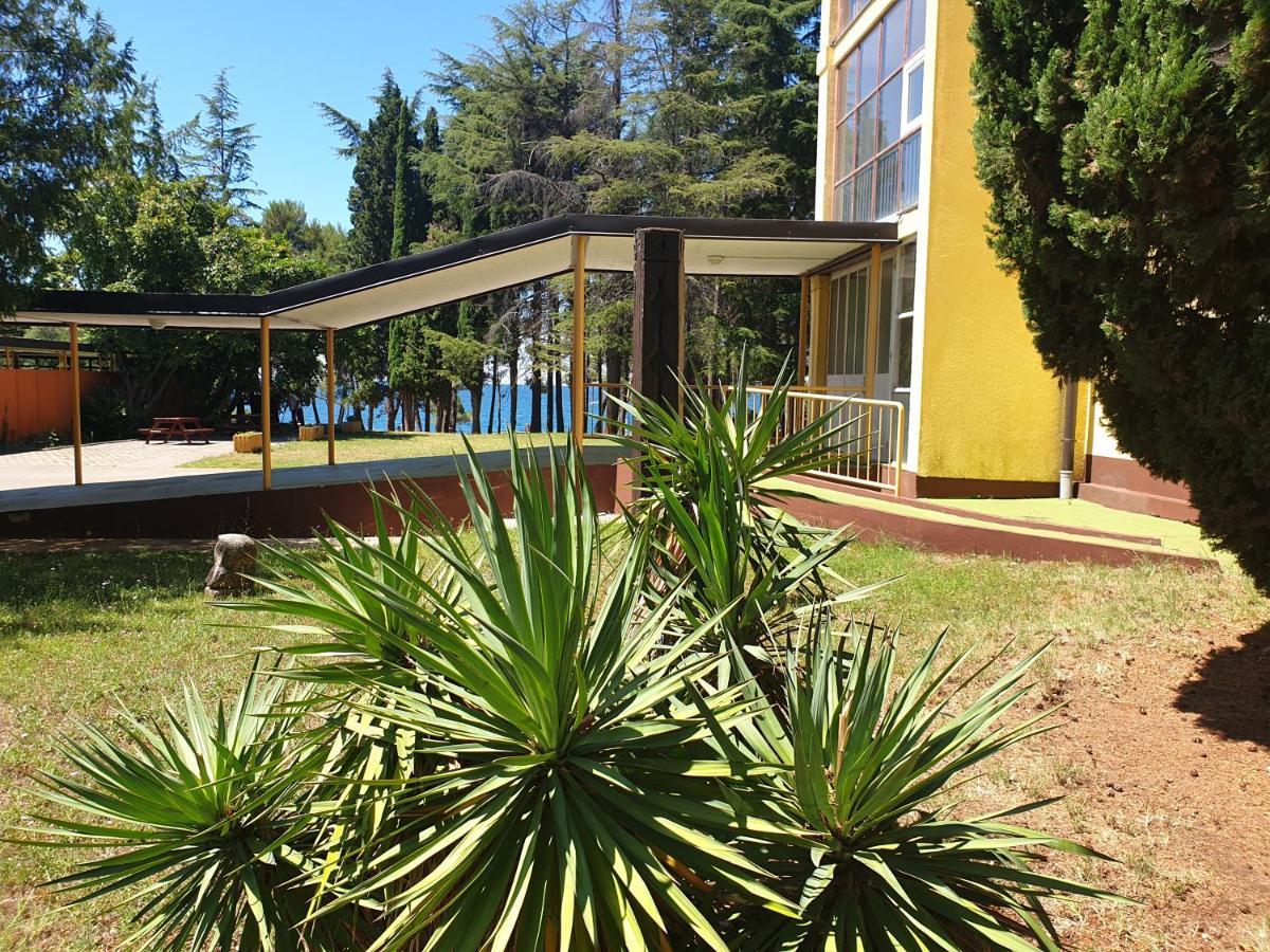 Novigrad Istria Youth Hostel Pinesta מראה חיצוני תמונה