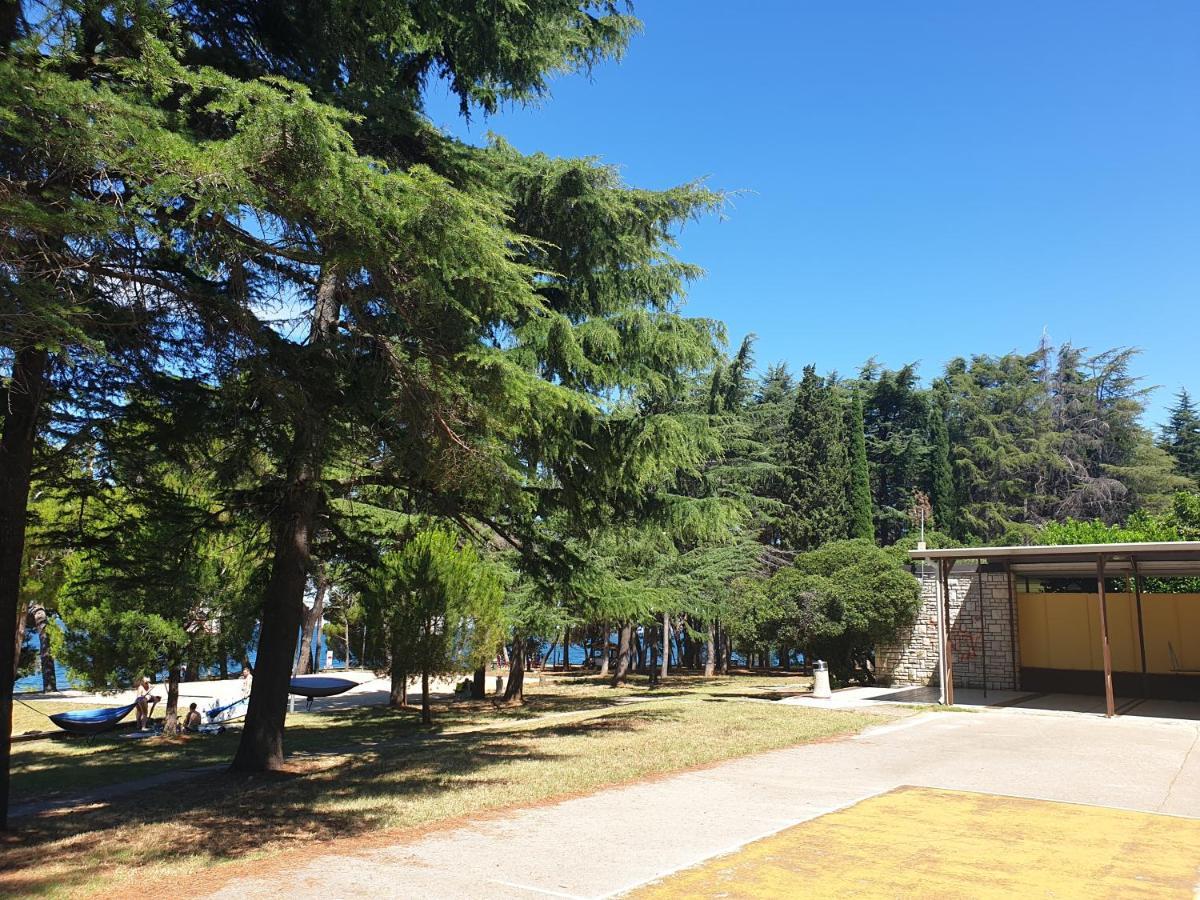 Novigrad Istria Youth Hostel Pinesta מראה חיצוני תמונה